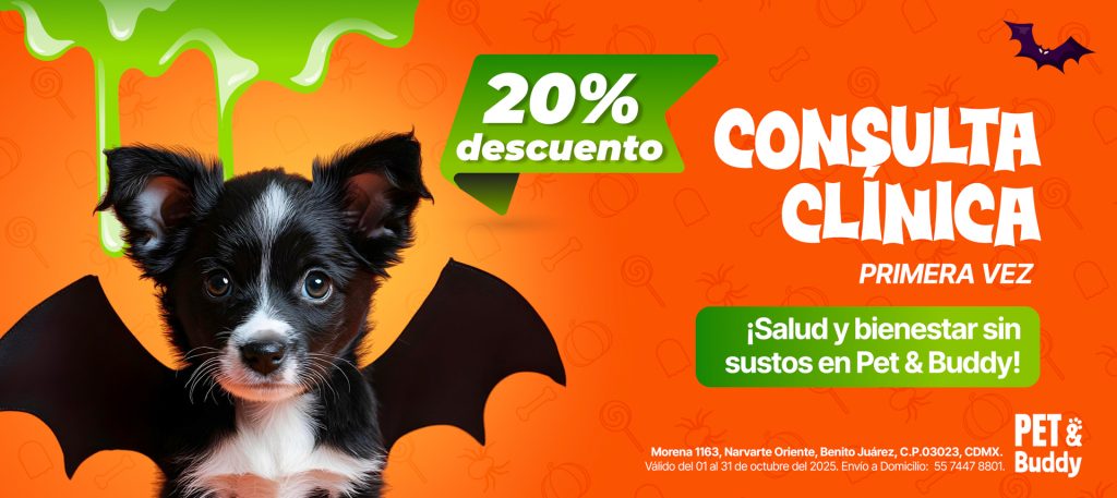Promos octubre
