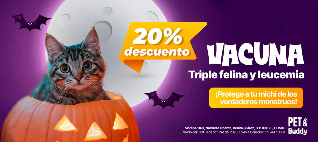 Promos octubre