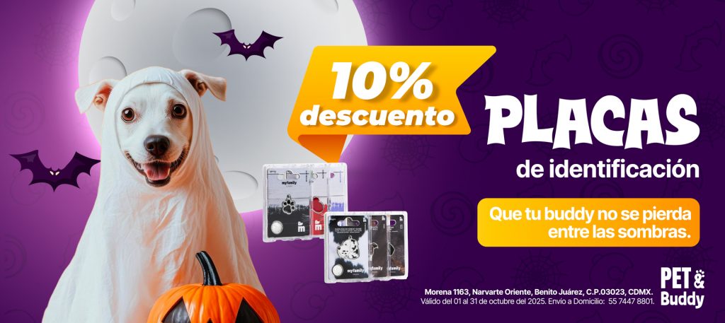 Promos octubre