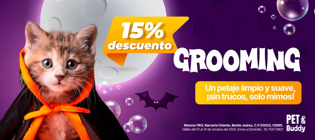 Promos octubre