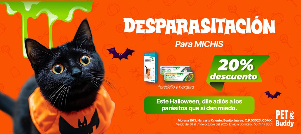 Promos octubre