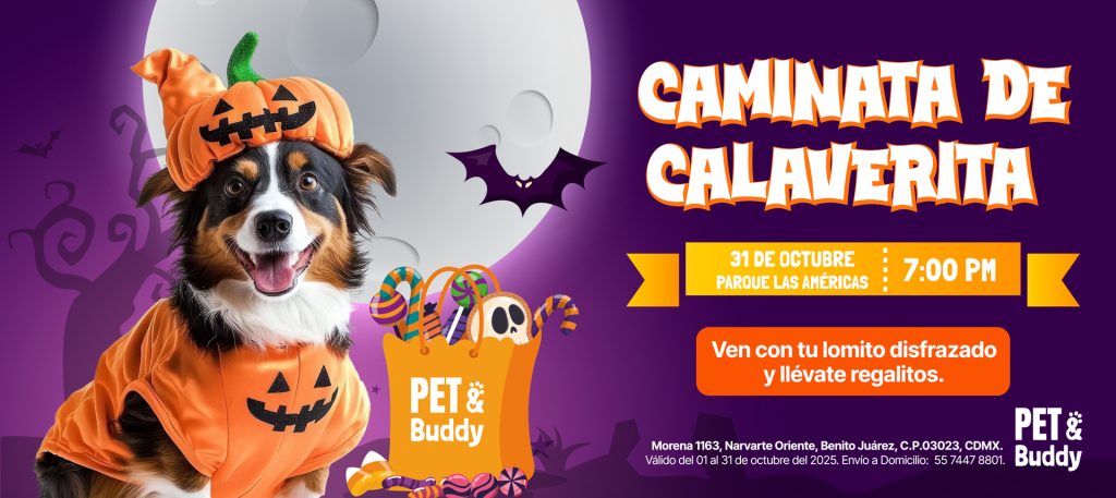 Promos octubre